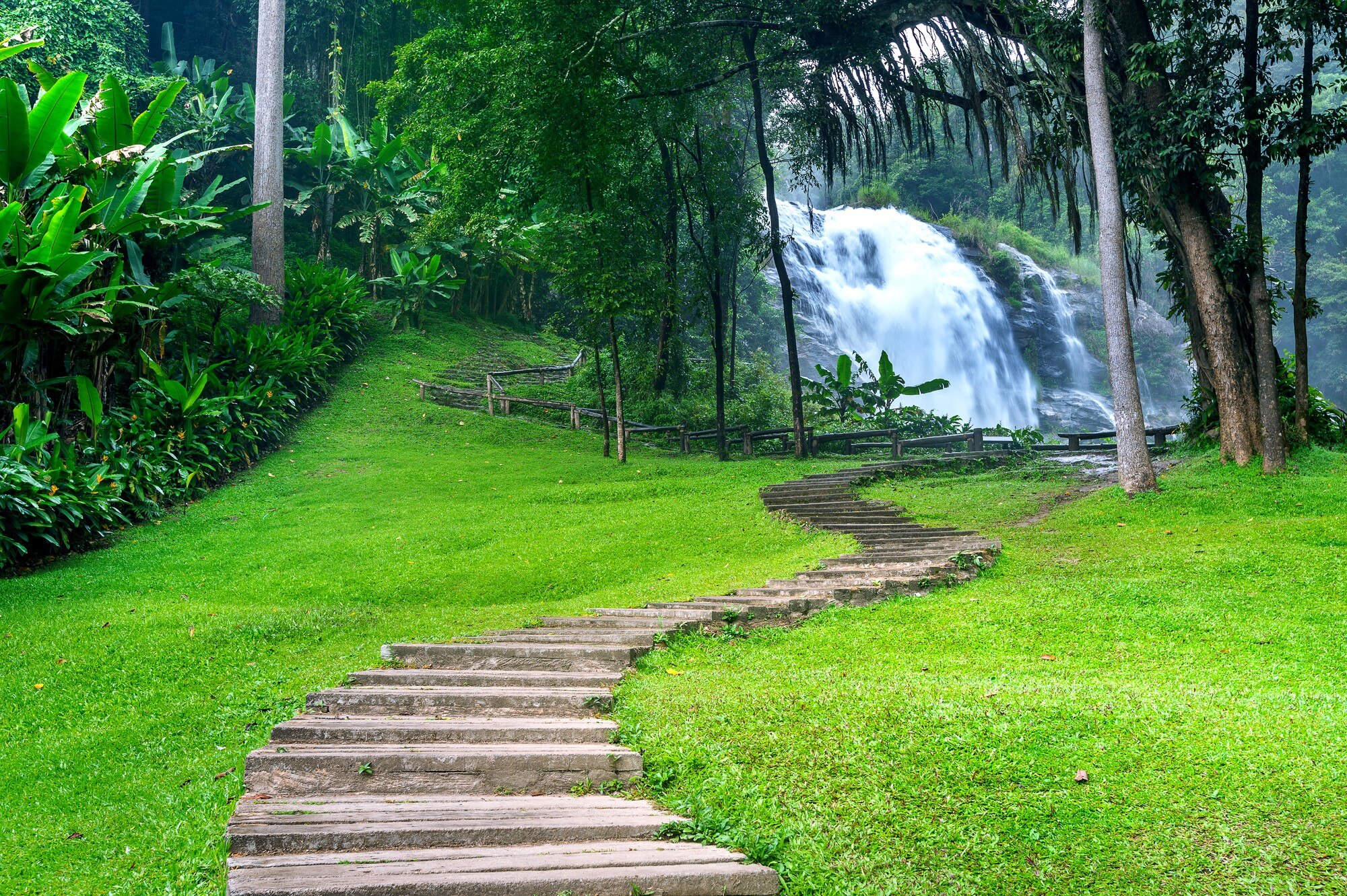 Paisaje natural